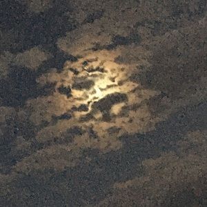 Meet your Posher, Richard